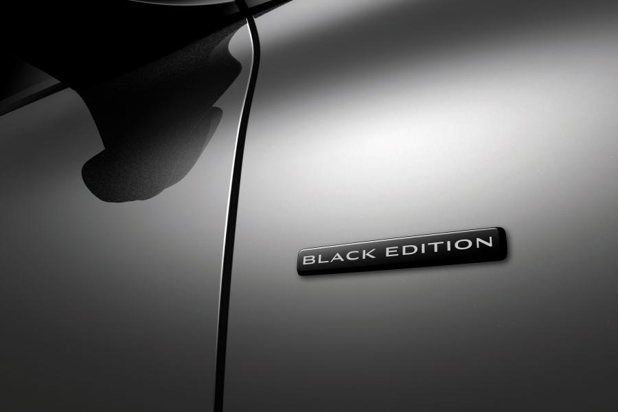 Детали экстерьера Renault Scenic Black Edition (J9) 2019 года  (фото 2 из 10)
